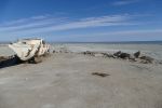 PICTURES/Salton Sea/t_P1000532.JPG